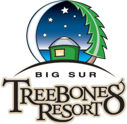 Treebones Resort