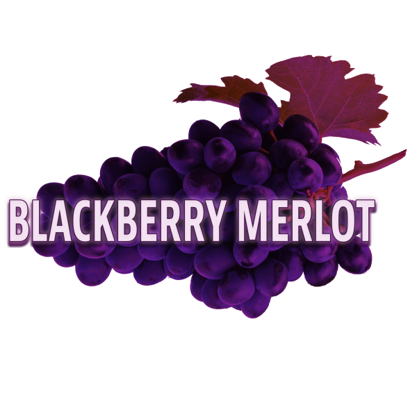 Blackberry Merlot Eventnoire   C1096882e5b6b1bd60184b07adb3dbc6 Md 