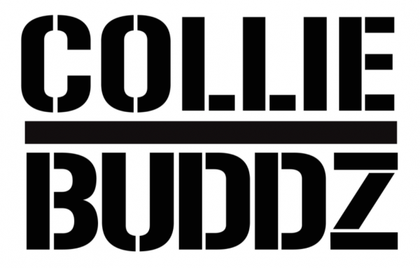 collie buddz tour california