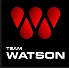 Team Watson