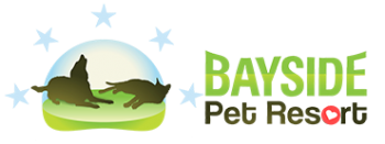 Bayside Pet Resort